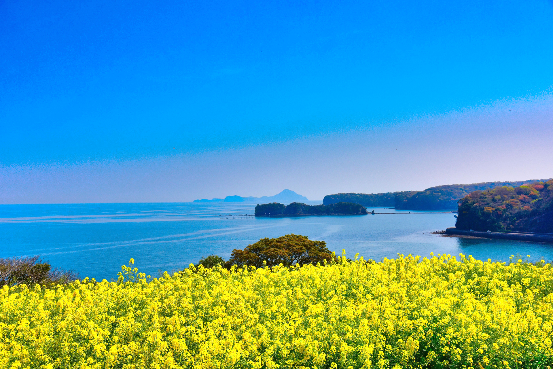 千葉県泌尿器科医会