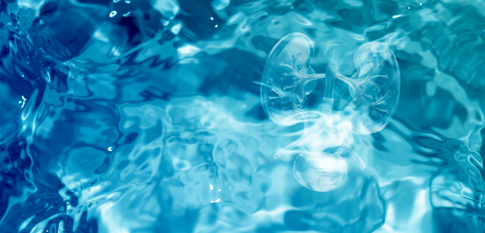 千葉県泌尿器科医会